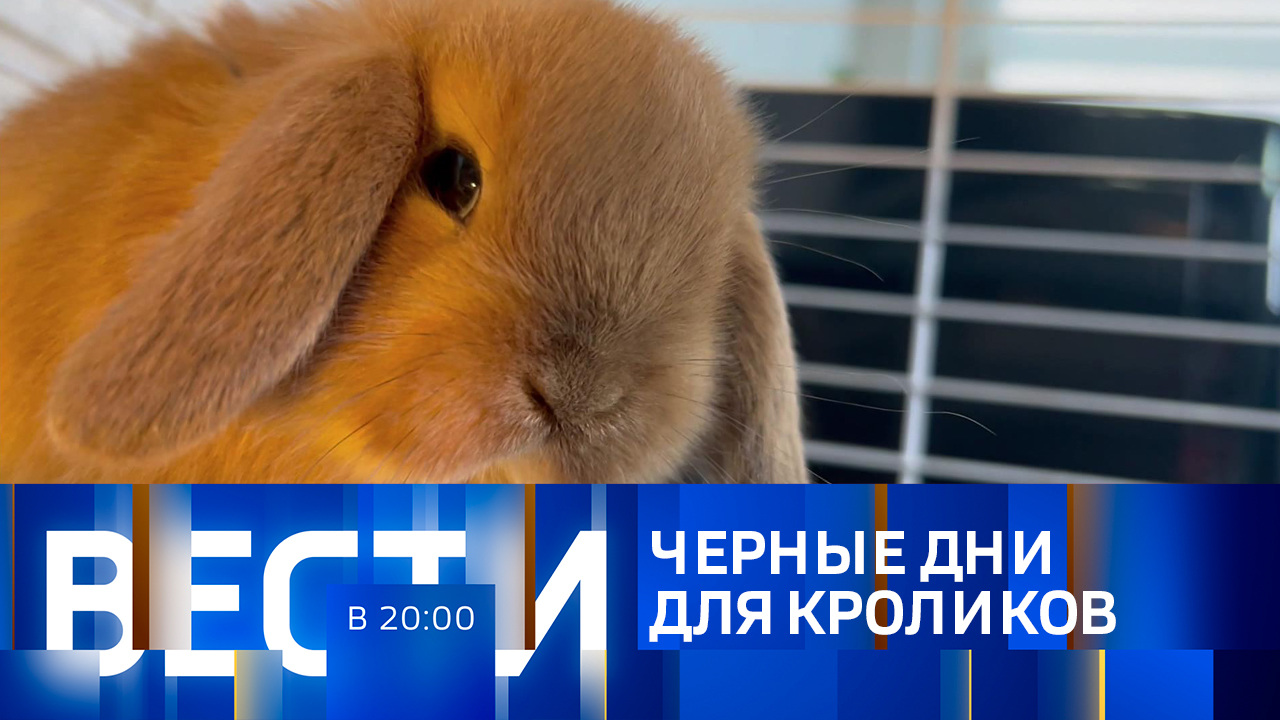 Эфир от 26.12.2022