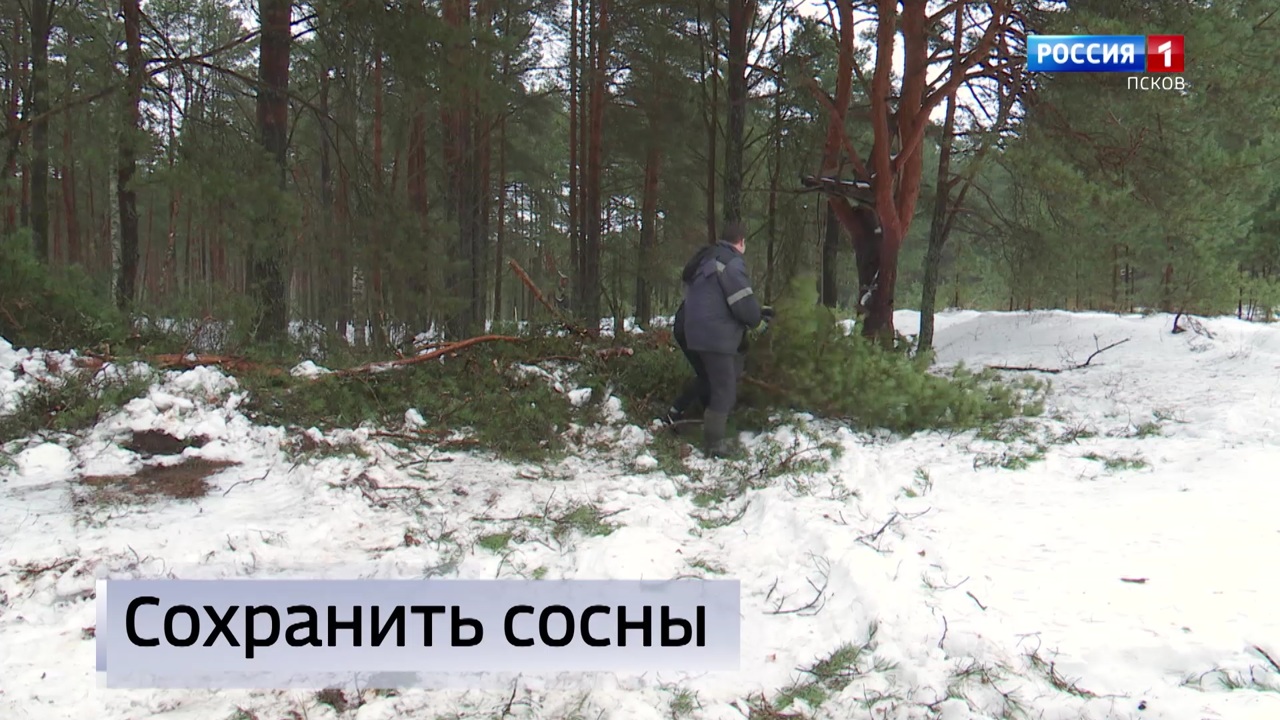 Эфир от 27.12.2022 (14:30)