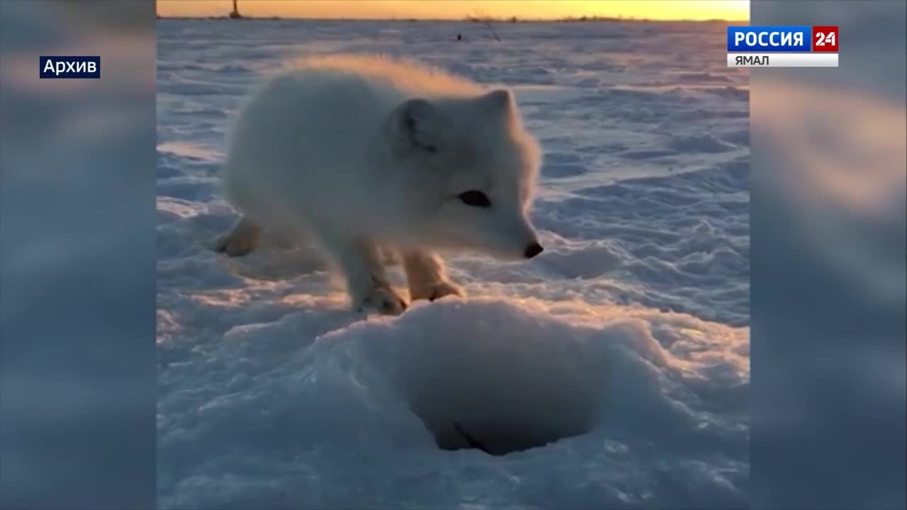 Эфир от 28.12.2022 (10:00)