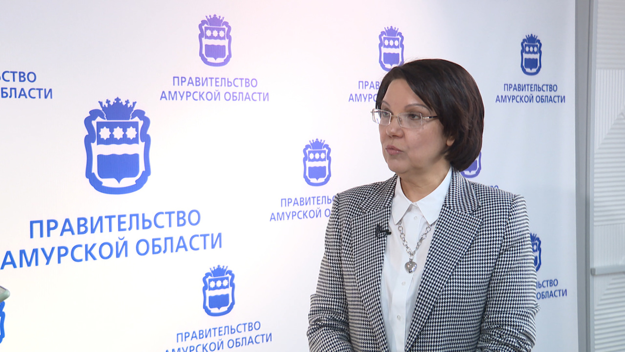 Привлечение инвестиций. Гость-министр экономического развития и внешних связей Амурской области О.Кукшенёва
