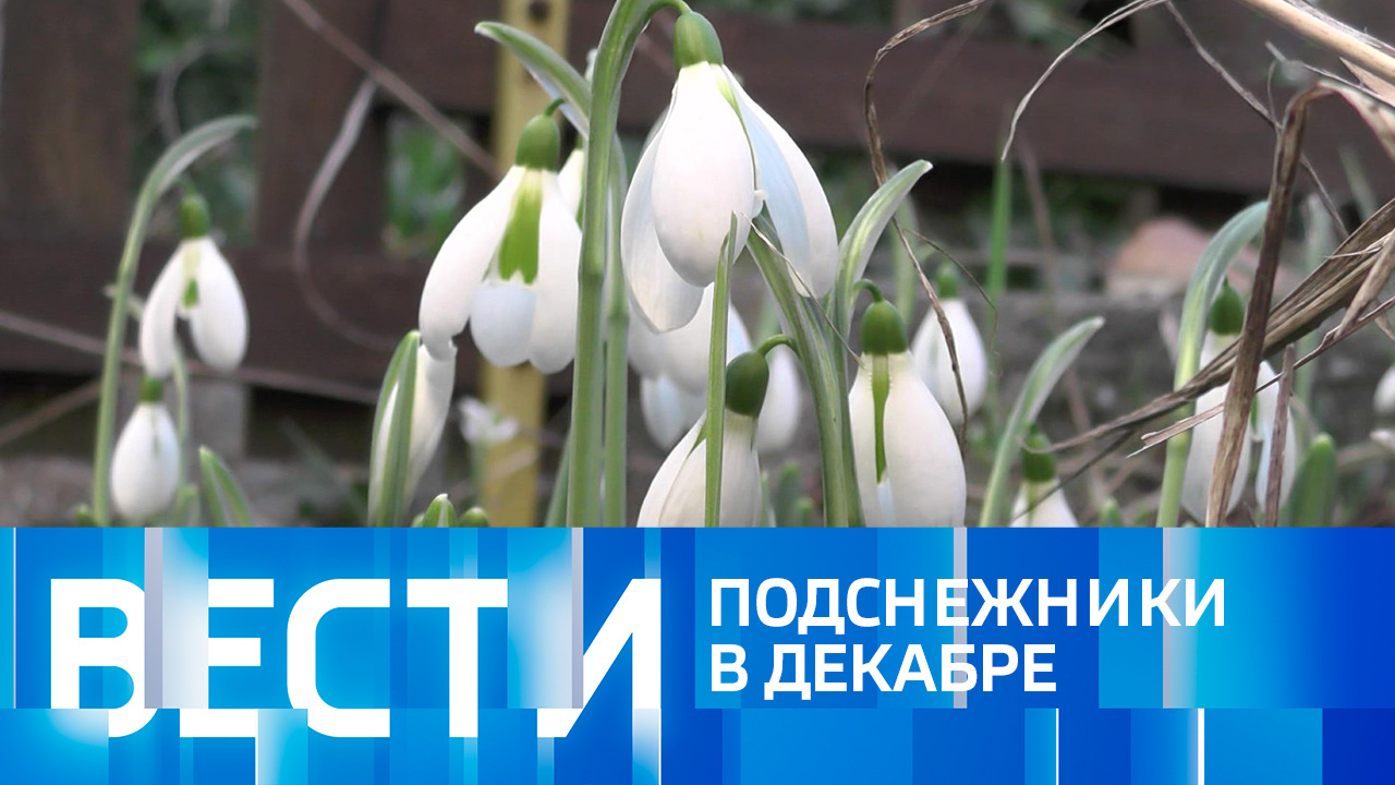 Эфир от 30.12.2022 (11:00)