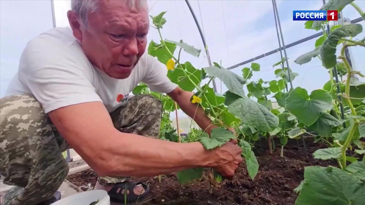 Индивидуальные предприниматели Ямальского района