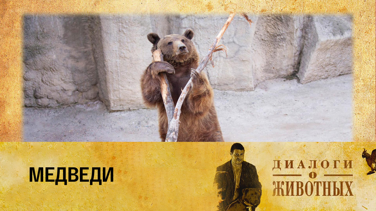 Ташкентский зоопарк
