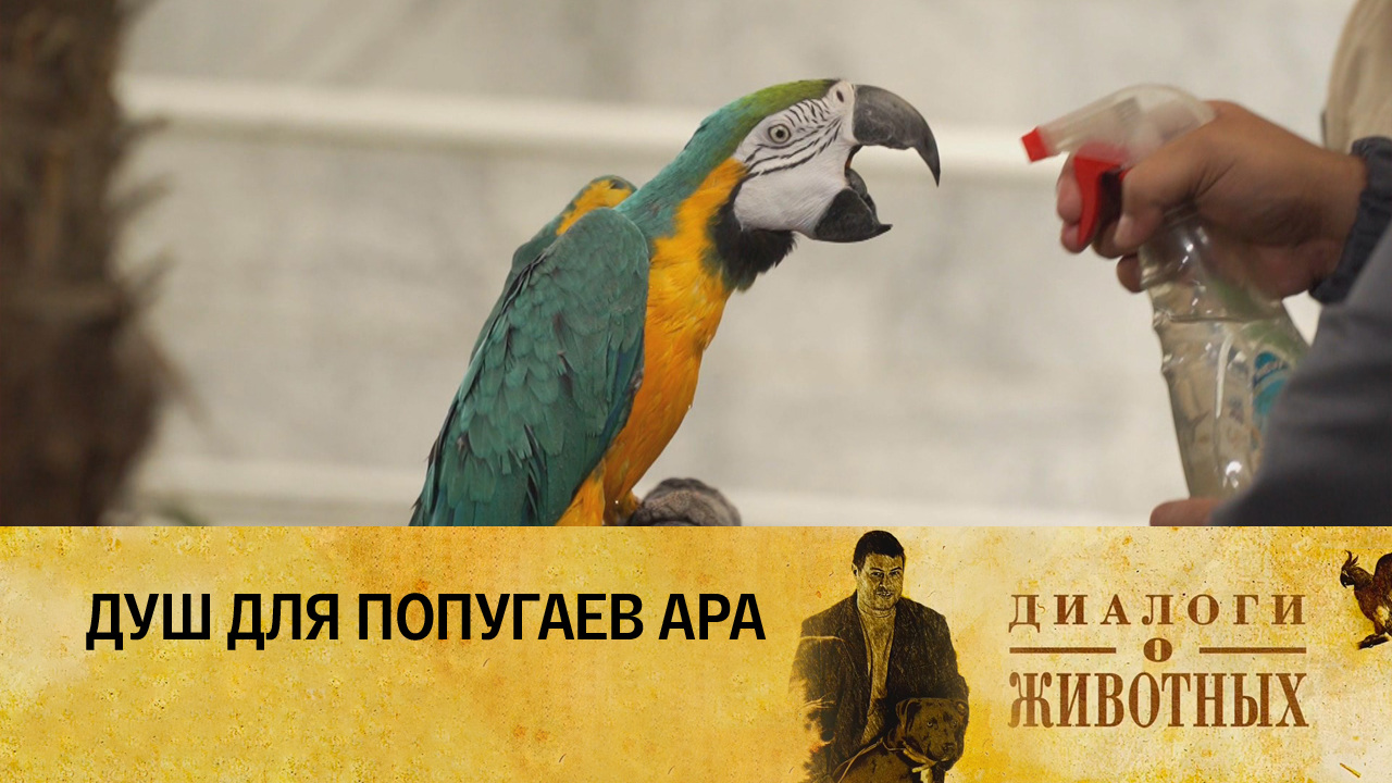 Ташкентский зоопарк