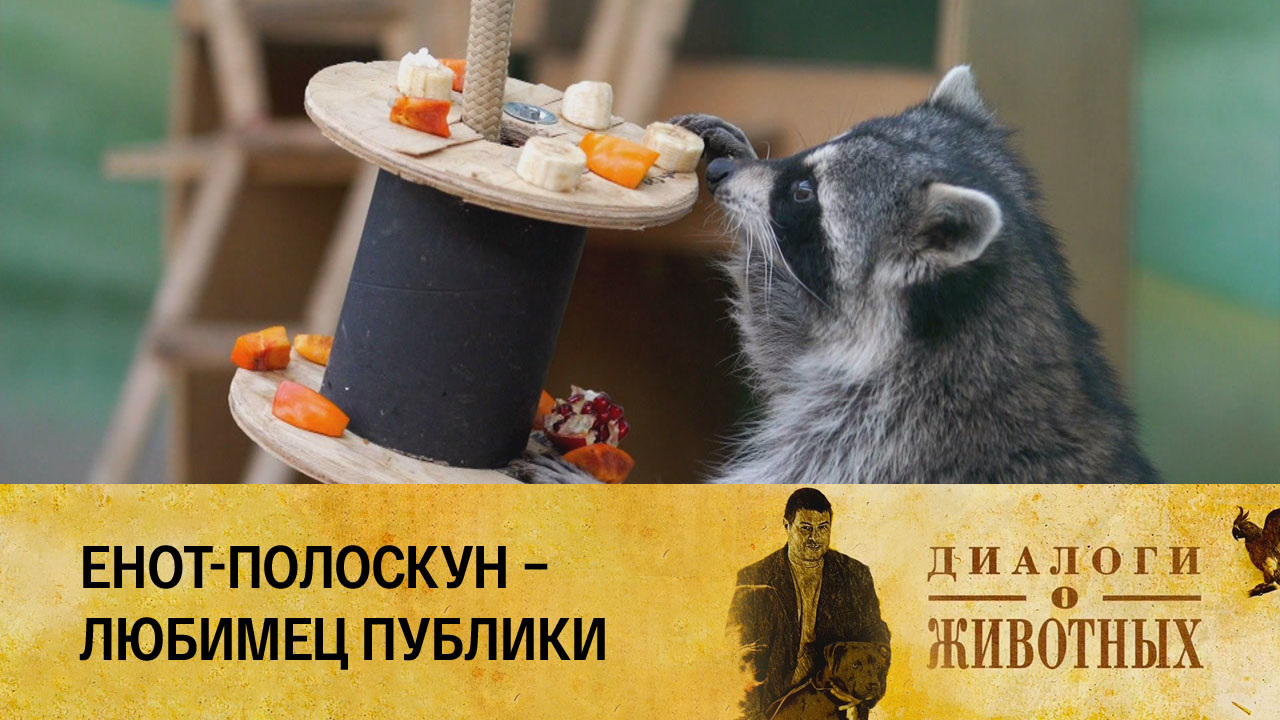Ташкентский зоопарк