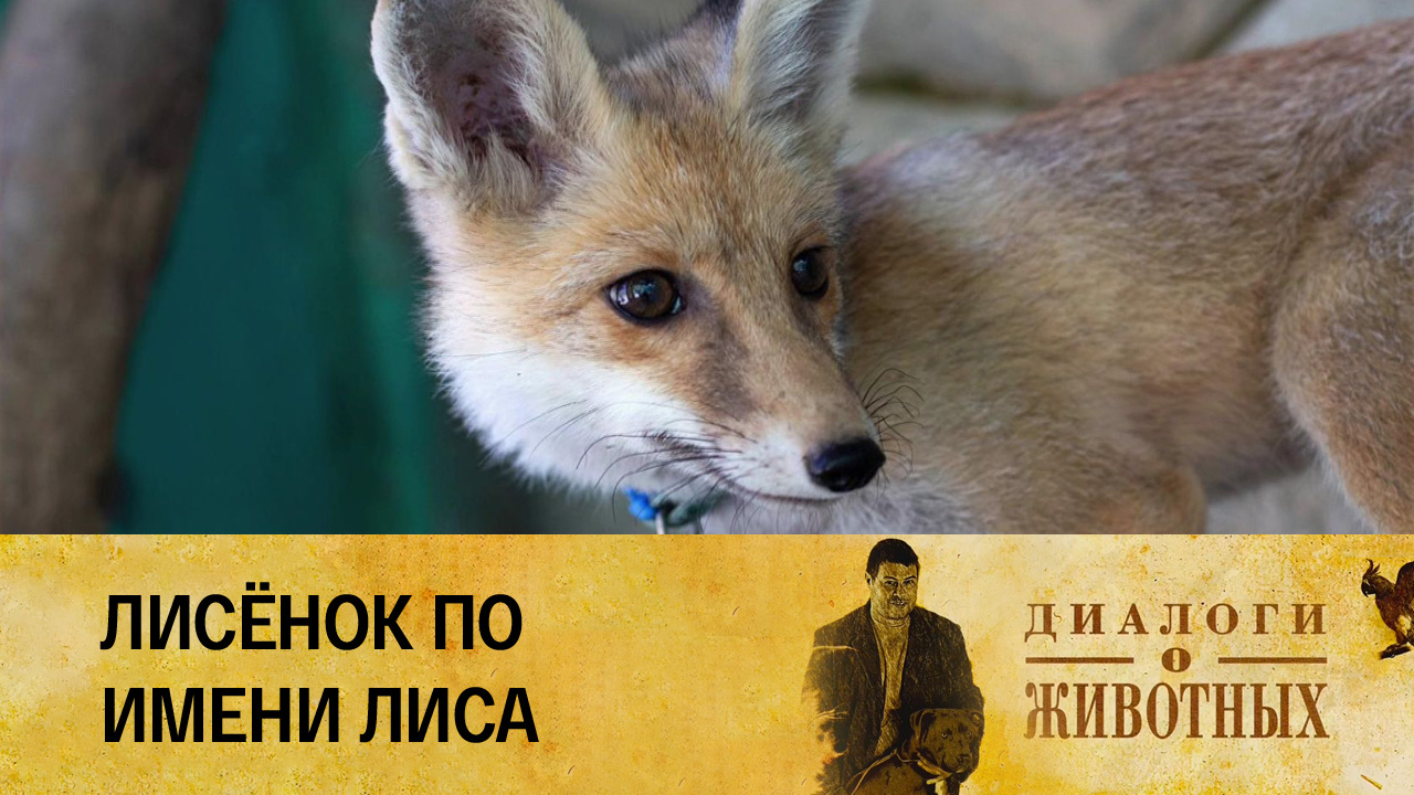 Ташкентский зоопарк