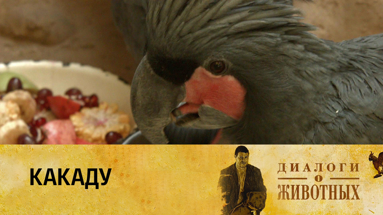 Ташкентский зоопарк