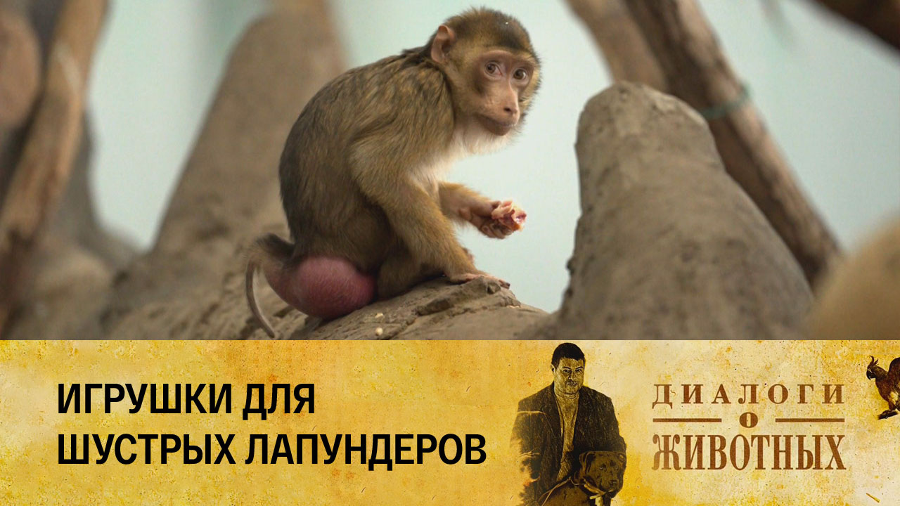 Ташкентский зоопарк