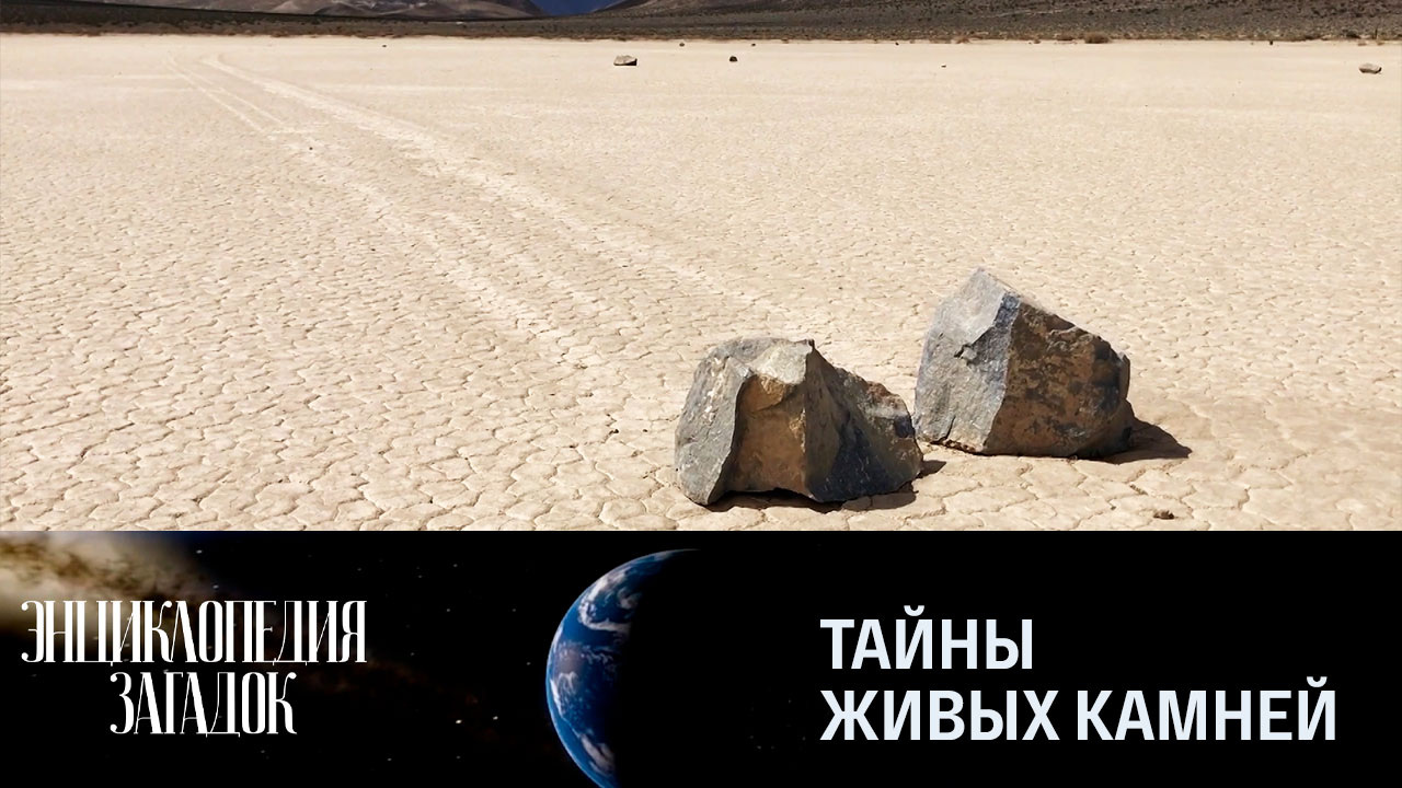 Тайны живых камней