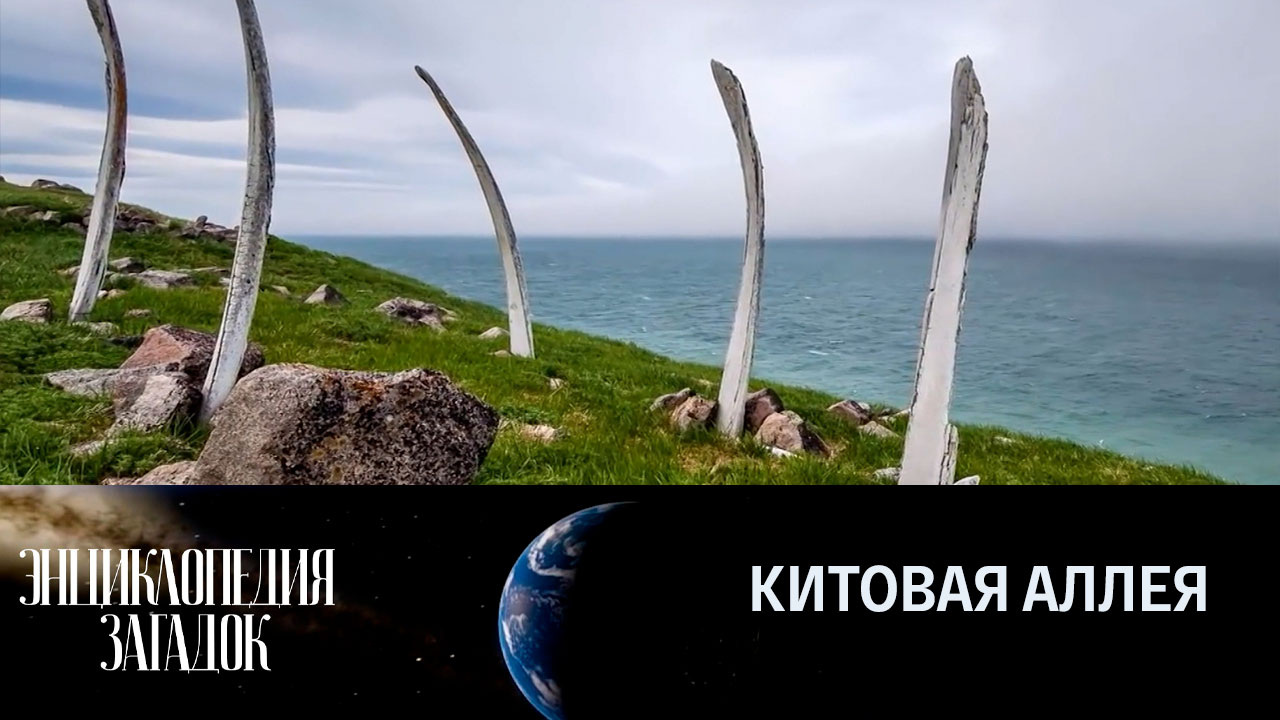 Китовая аллея