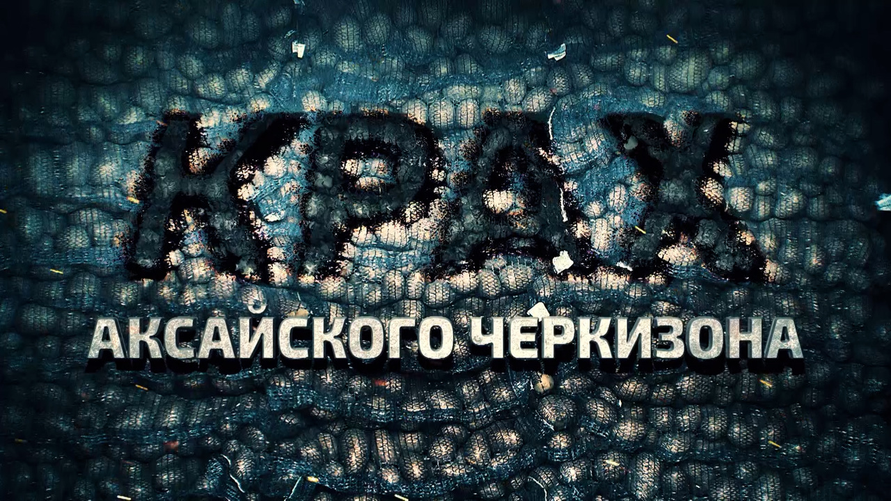 Крах аксайского "Черкизона"