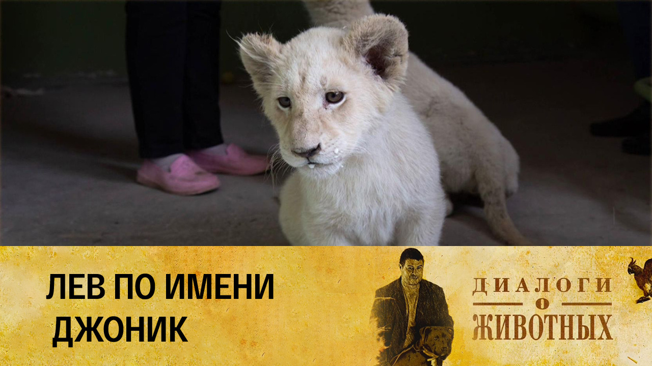 Ташкентский зоопарк