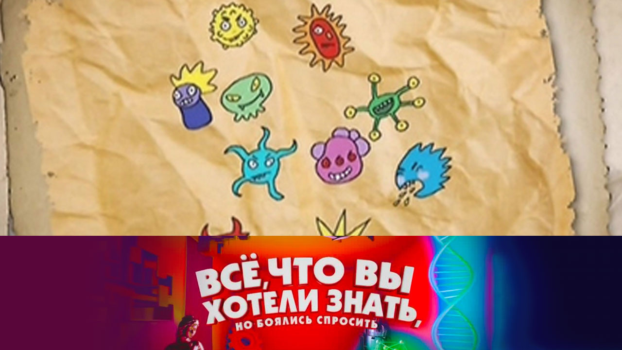 Кто такие паразиты