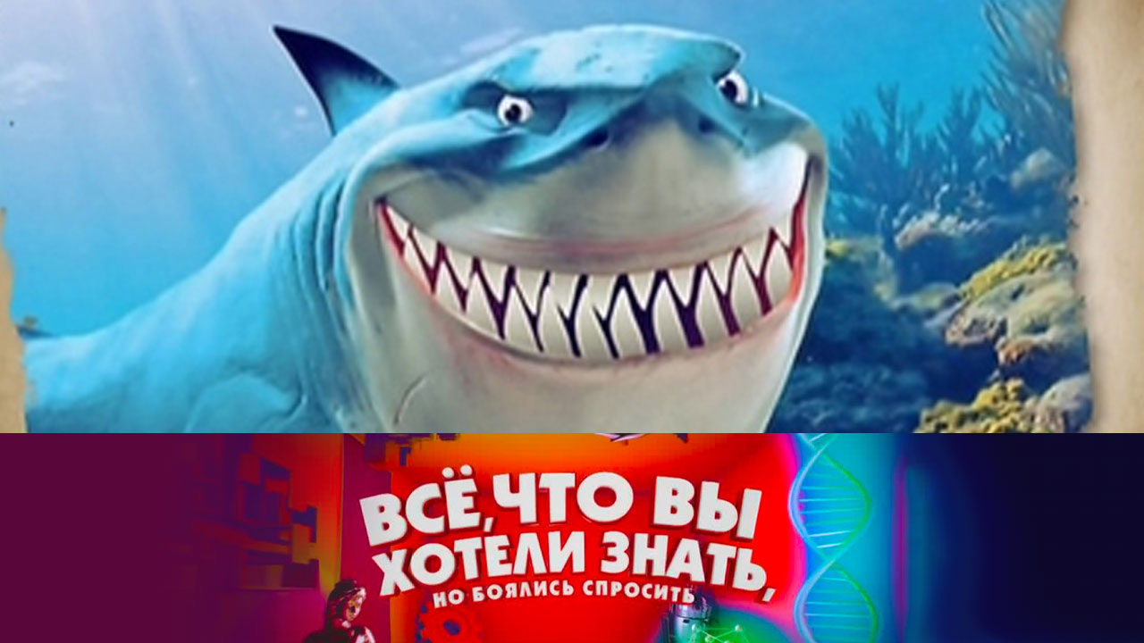 Кто самый зубастый на свете