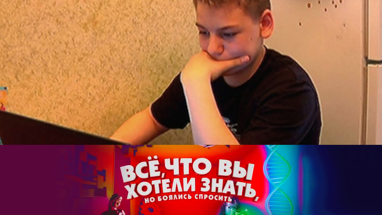 Как сделать свой блог в интернете