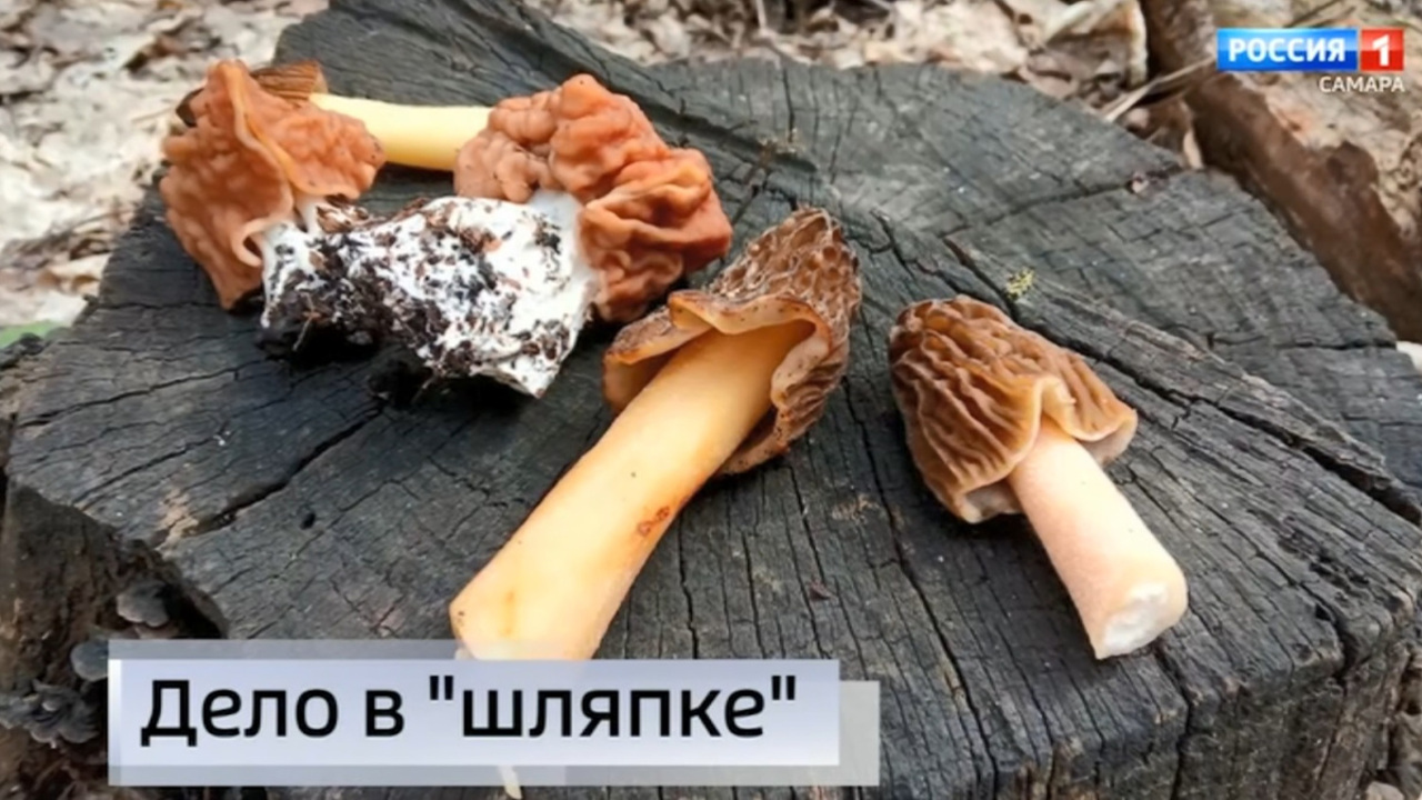 Эфир от 07.04.2023 (09:00)