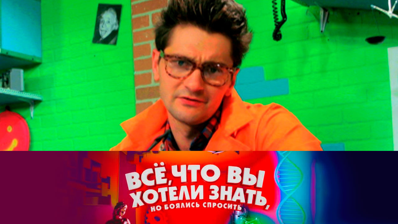 Больно ли лошадям когда их подковывают