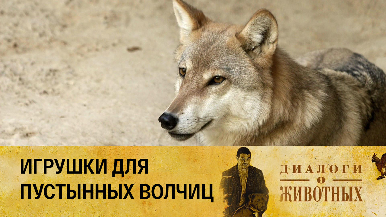Ташкентский зоопарк
