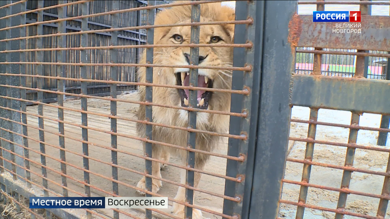 Эфир от 09.04.2023