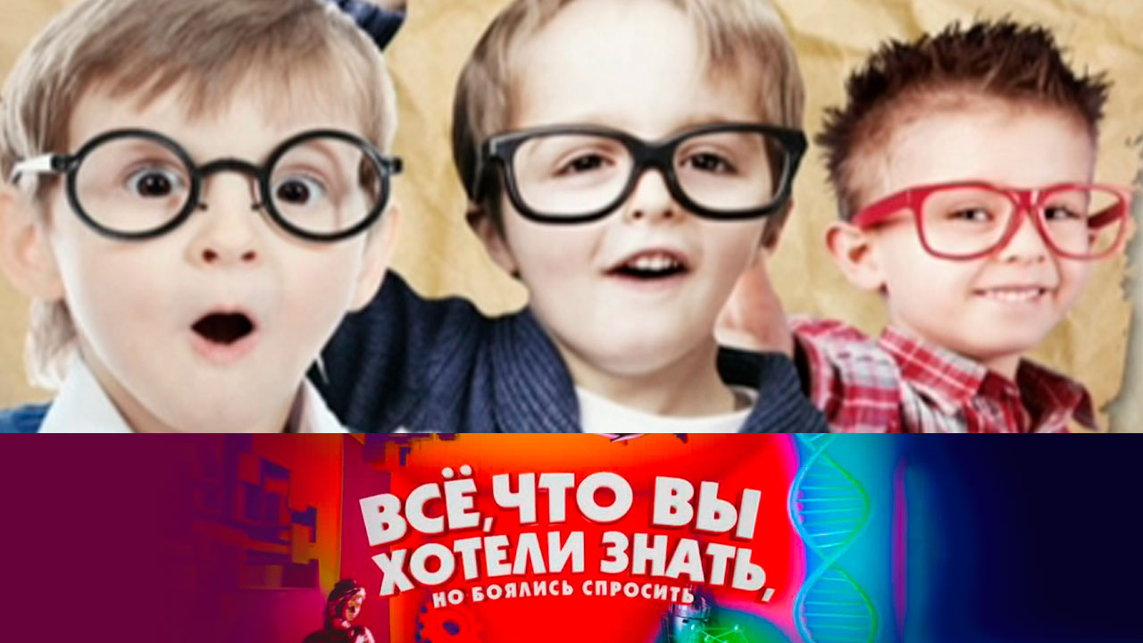 В чем измеряется ум