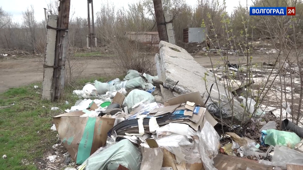 Раздельный сбор мусора. Эфир от 10.04.2023