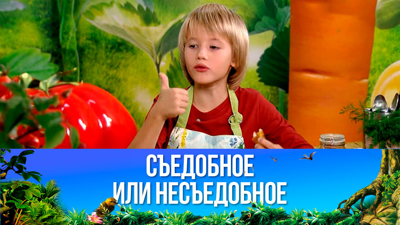 Наггетсы и овощной салат. Эфир от 24.12.2022
