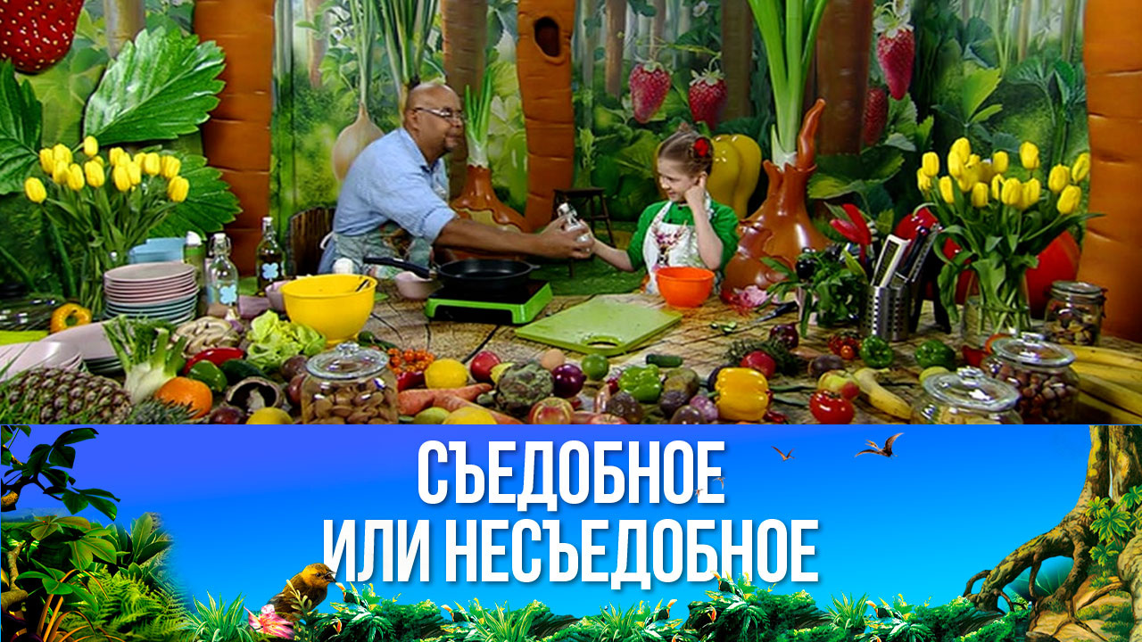 Омлет с салатом. Эфир от 10.12.2022