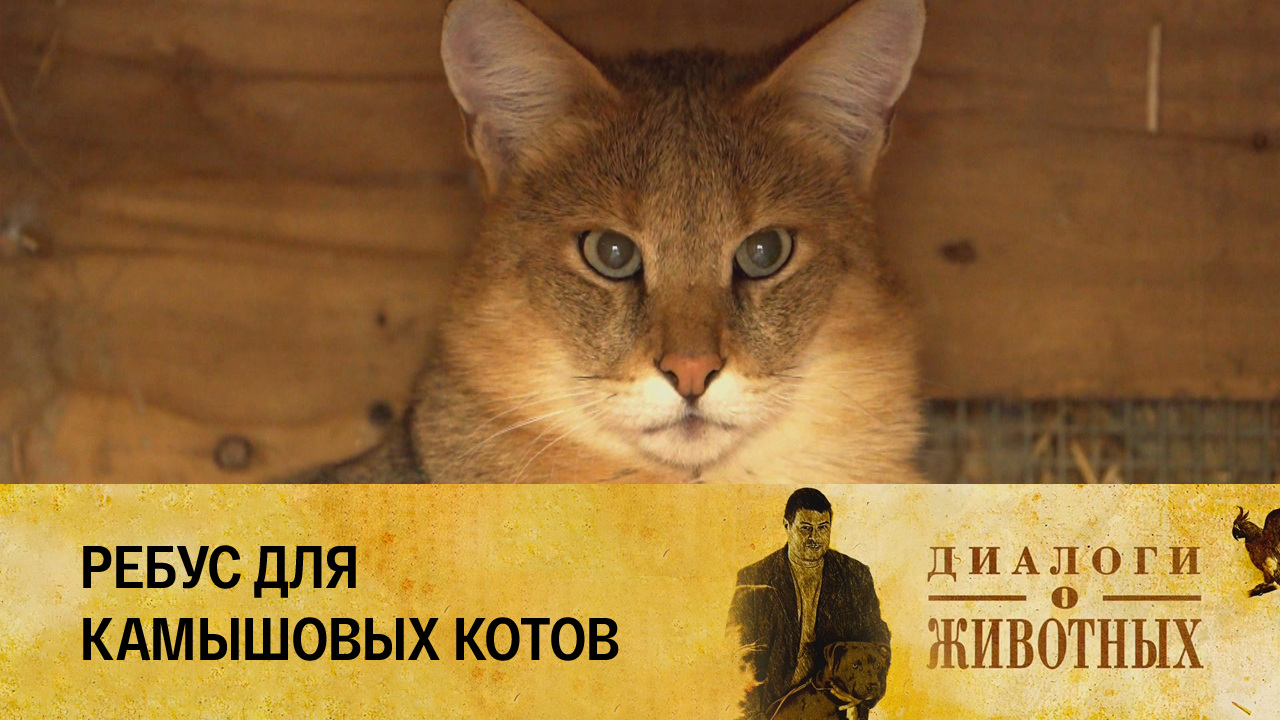 Ташкентский зоопарк