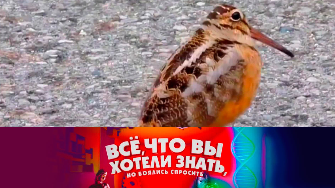Как делают майонез
