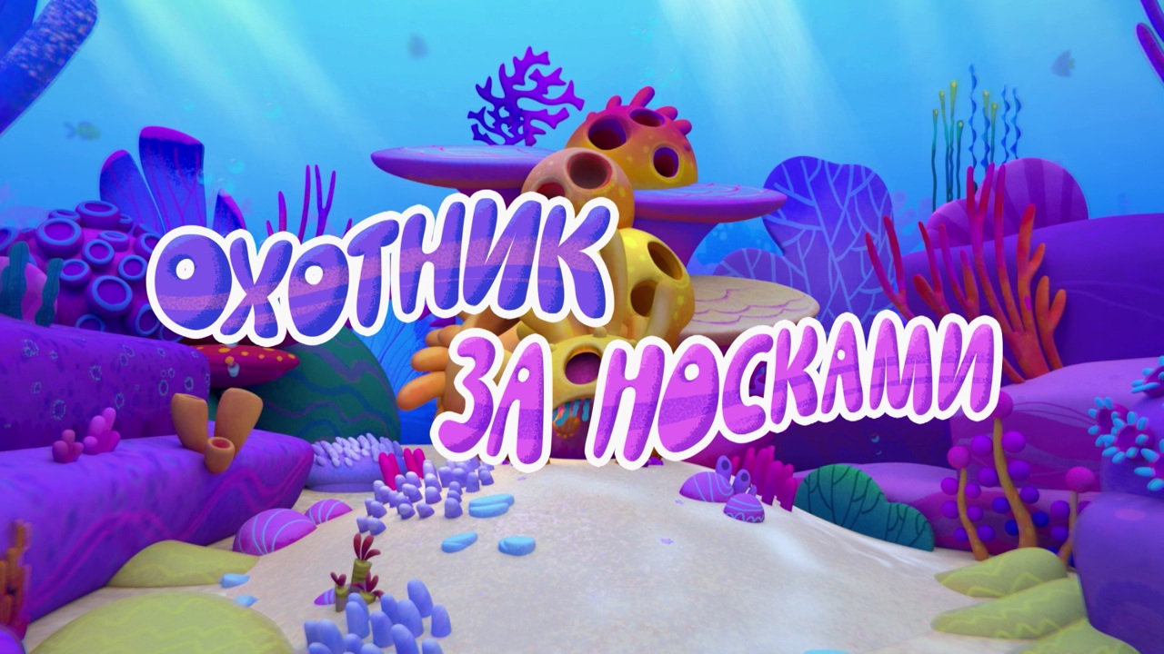 Охотник за носками