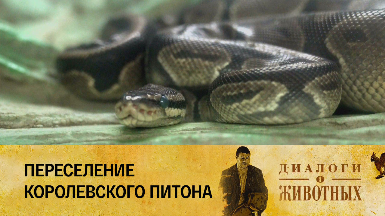 Ташкентский зоопарк