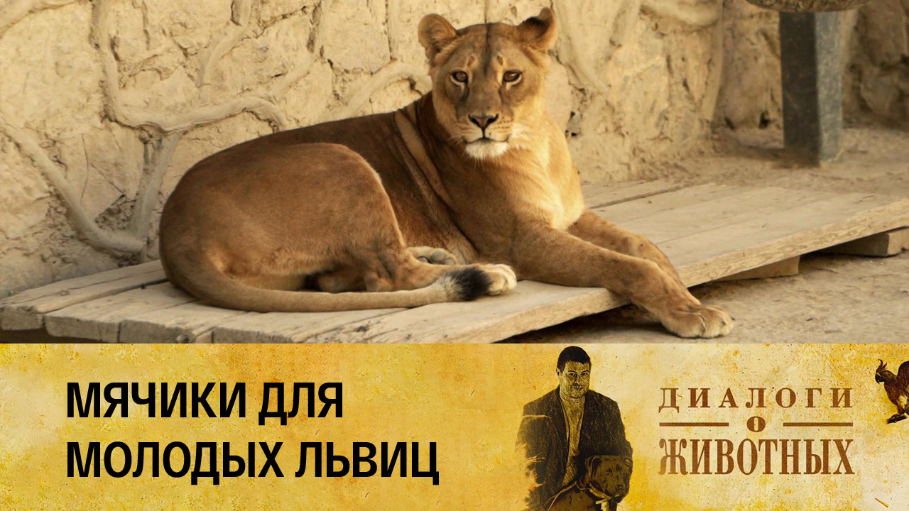 Ташкентский зоопарк