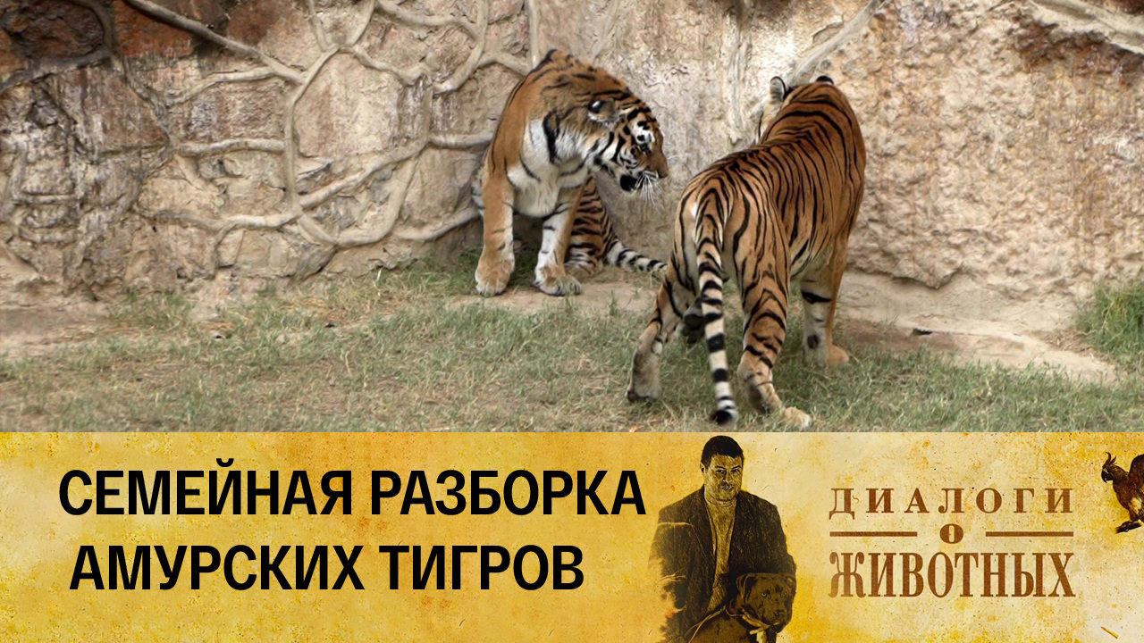 Ташкентский зоопарк