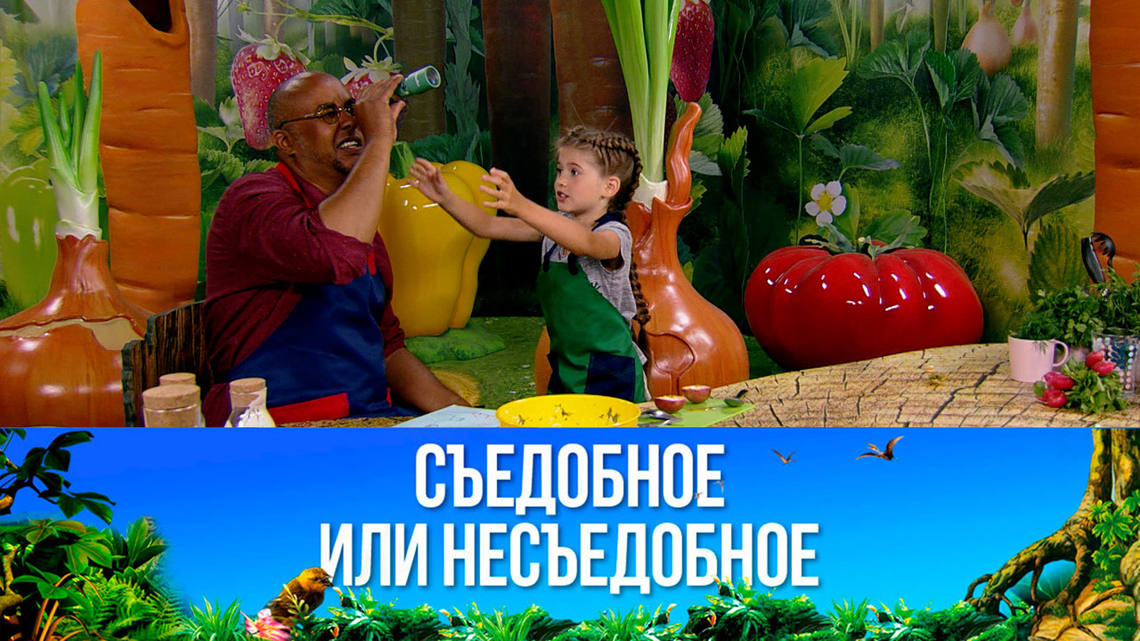 Окрошка. Эфир от 04.11.2019