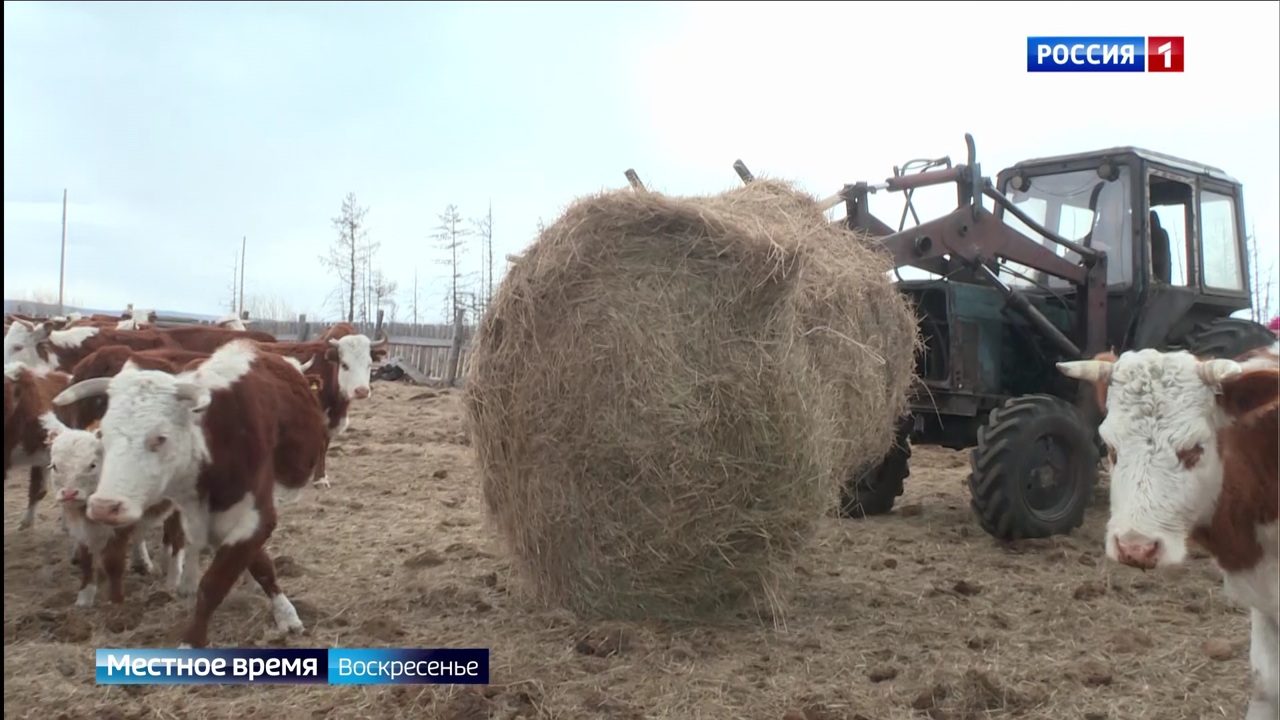 Эфир от 18.06.2023