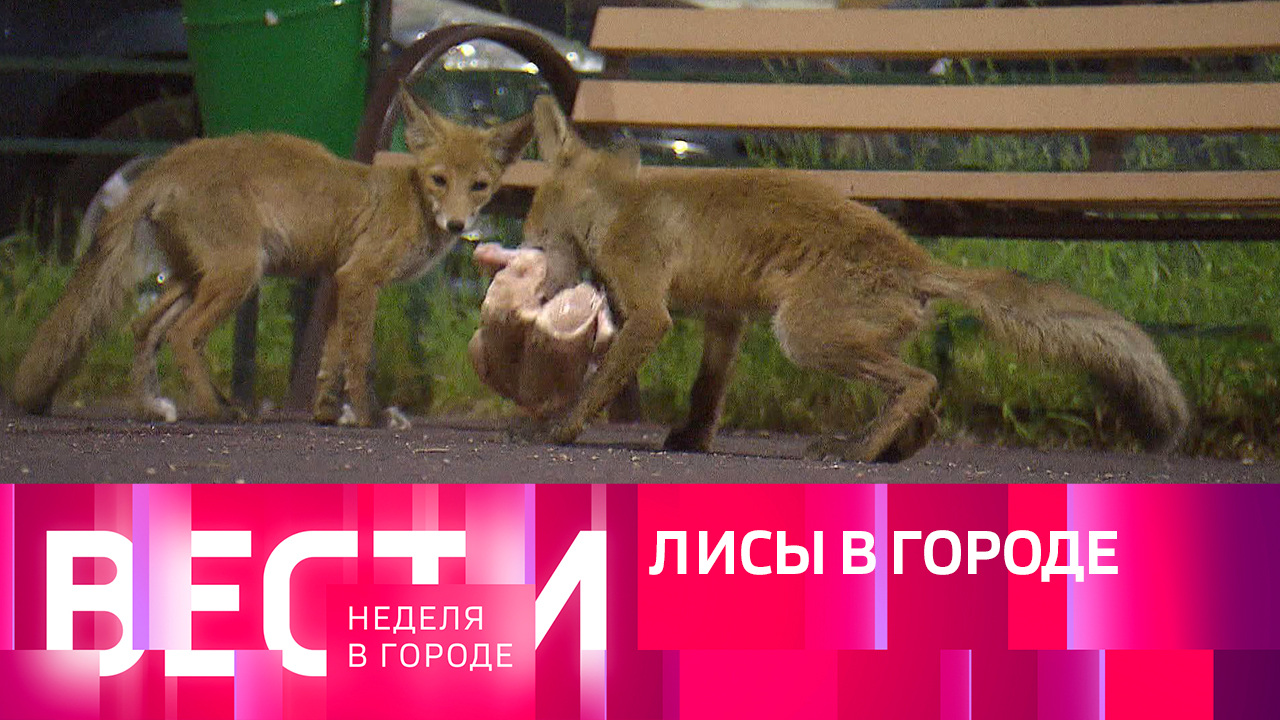 Эфир от 25.06.2023
