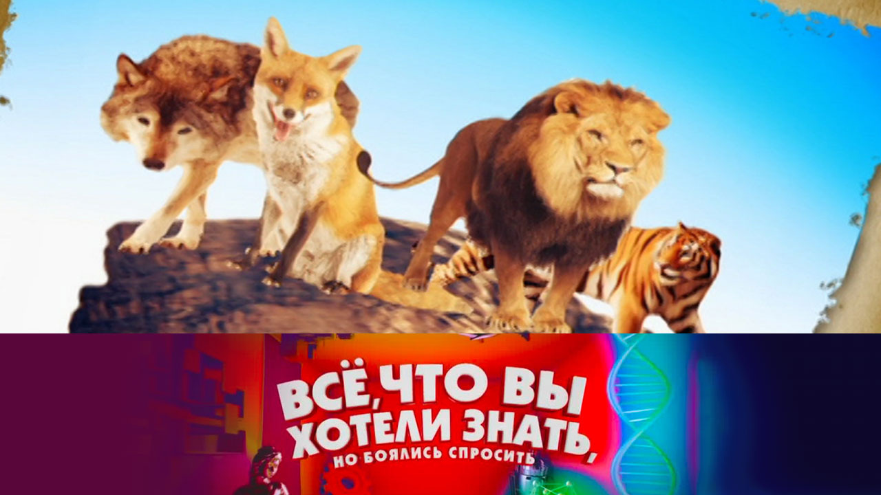Как древние ученые смогли разгадать тайны Вселенной