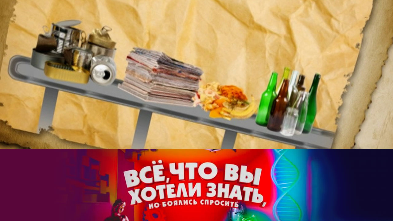 Куда девается мусор