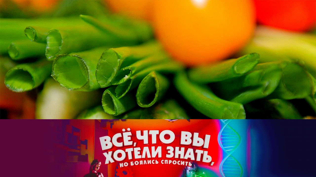 Чем фрукты отличаются от овощей