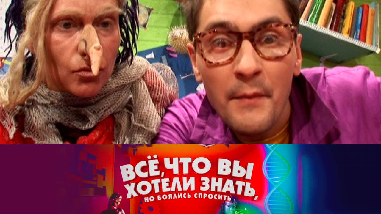 Чем отличается Баба-Яга от европейской колдуньи