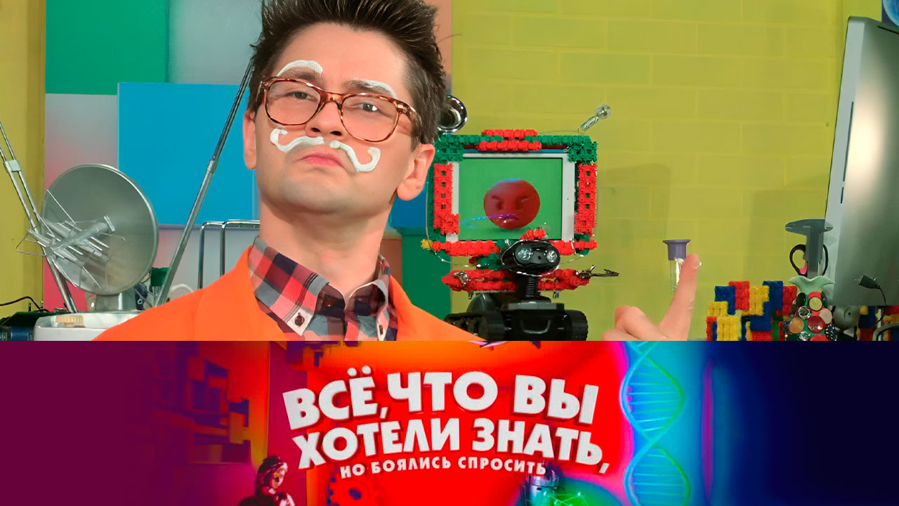 Из чего делают зубную пасту