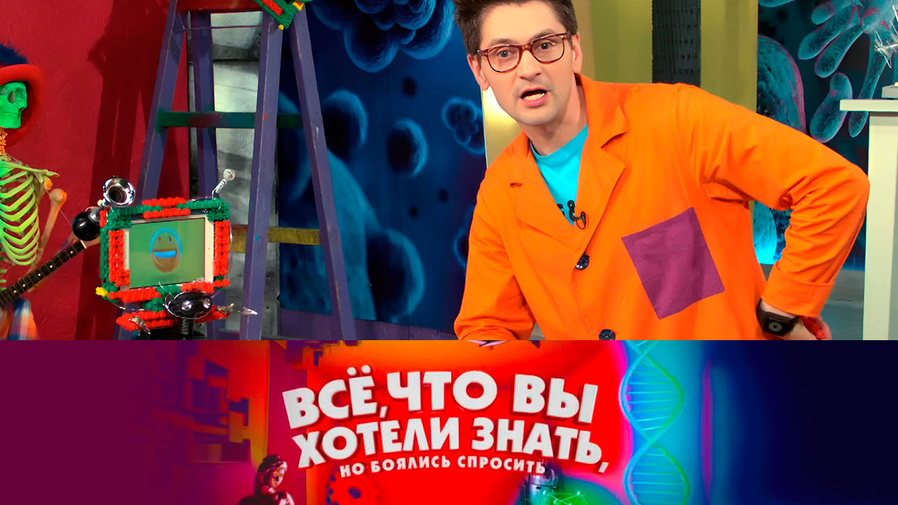 Когда появились зоопарки