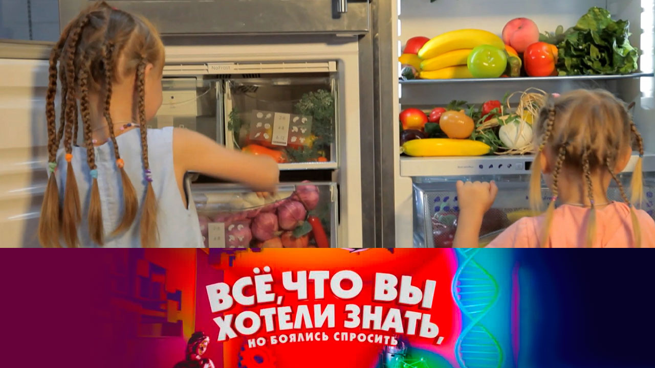 Как появился холодильник