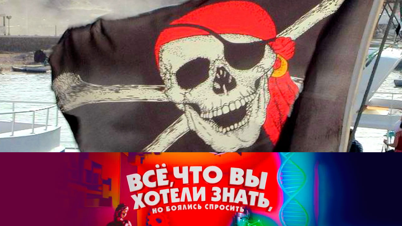 Кто такие пираты и куда они делись