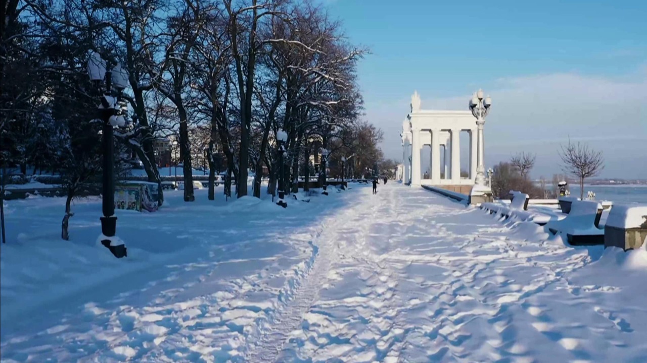 Никола Тесла из Царицына