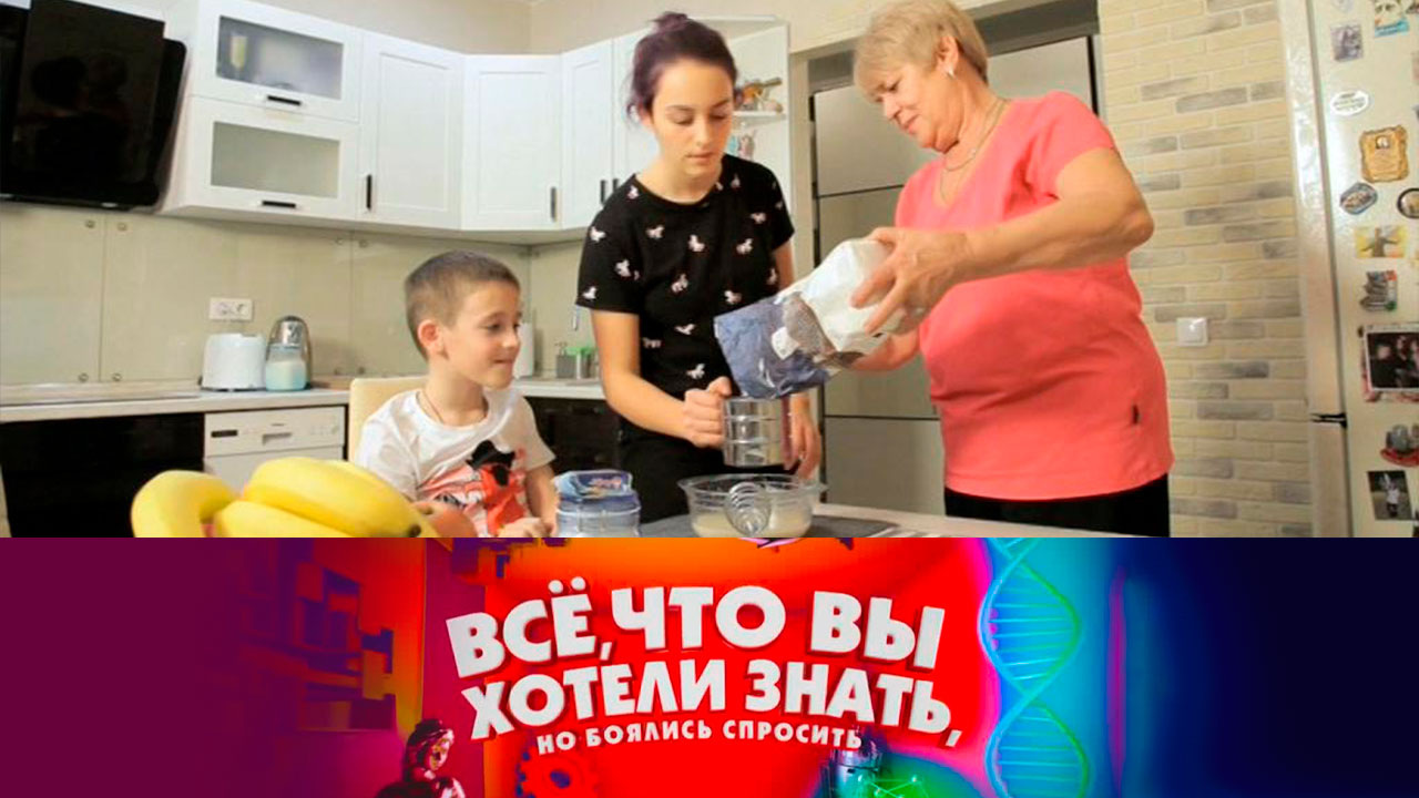 Какая порода собак самая дружелюбная