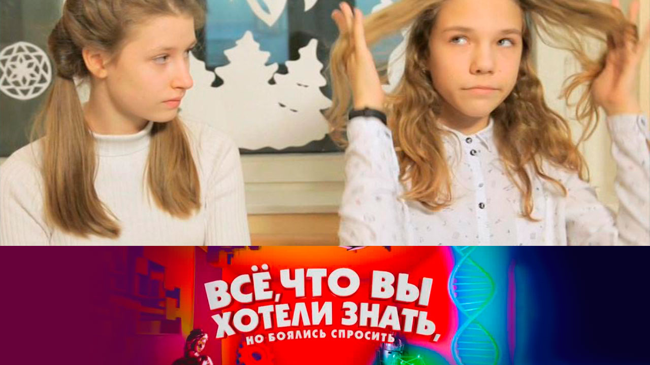 Каких животных можно держать дома