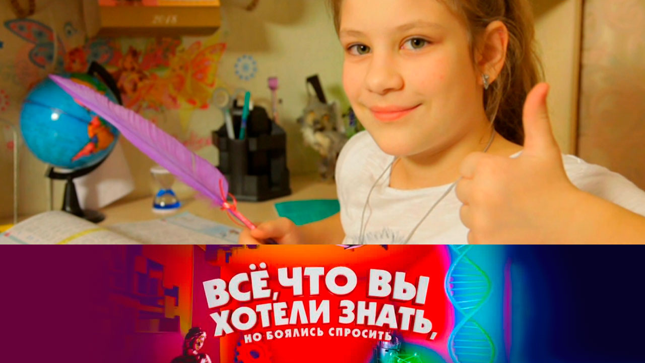 Как появился мобильный телефон