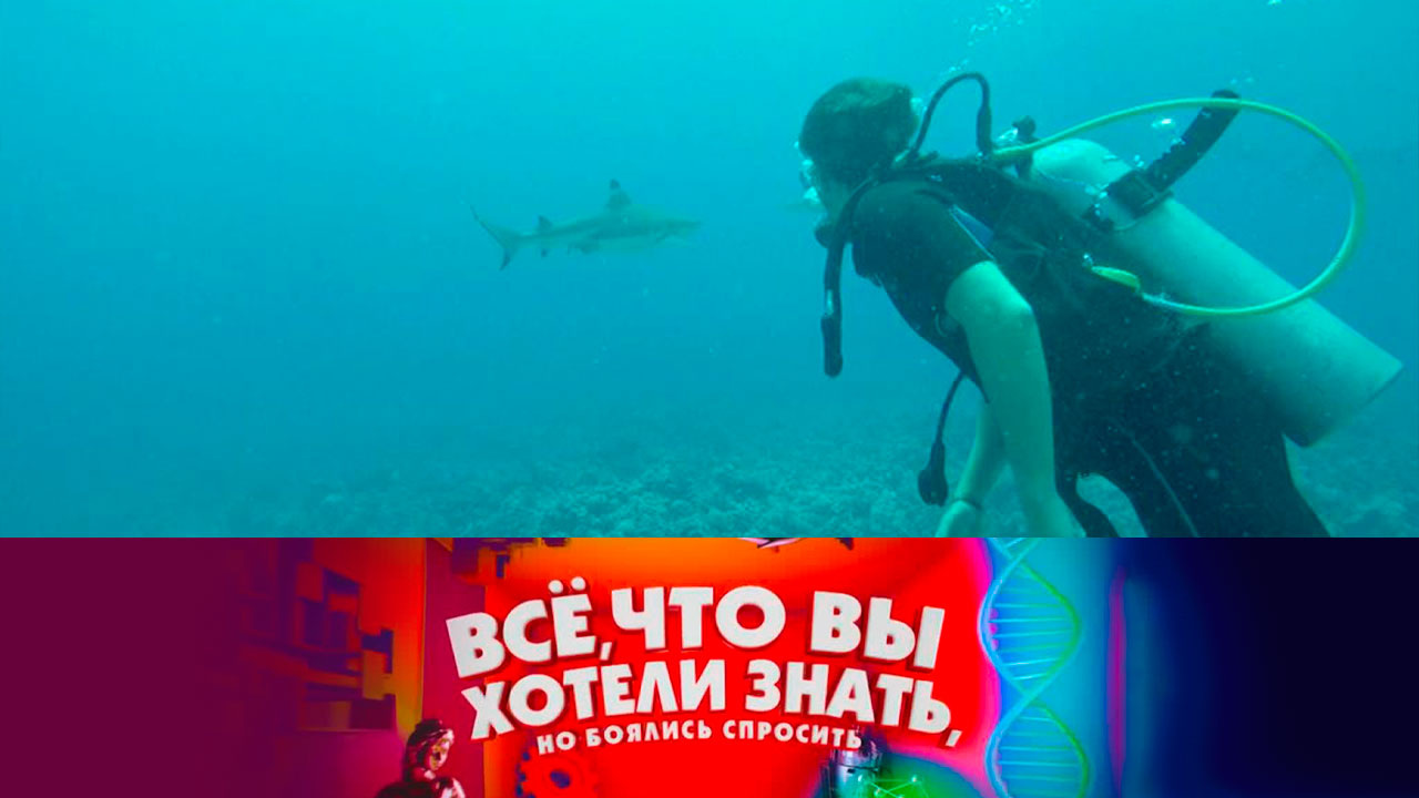Зачем защищать окружающую среду