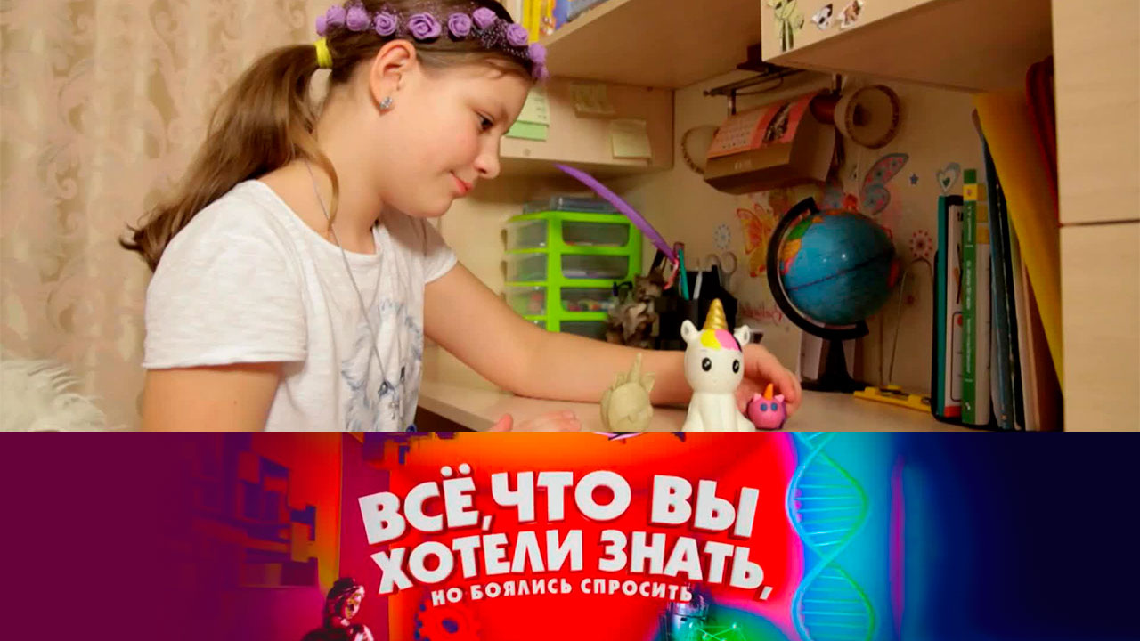Из чего состоит пластилин